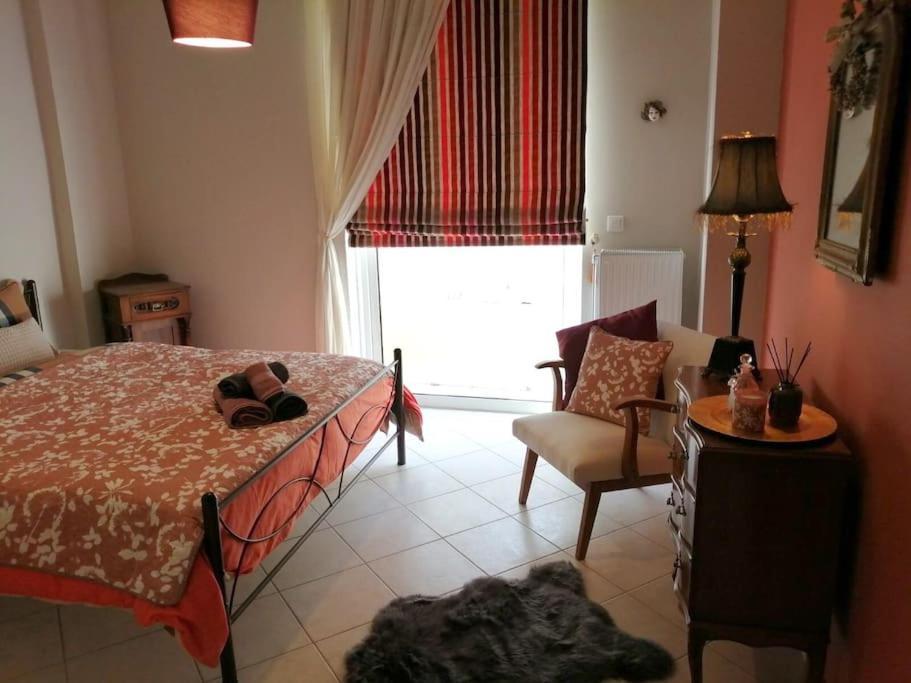 Central Spacious Apartment 70Sqm تريبوليس المظهر الخارجي الصورة